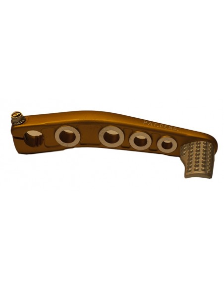 Kick Guld – (Minarelli, Peugeot)