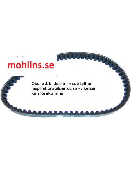 VARIATORREM 788X17 MM